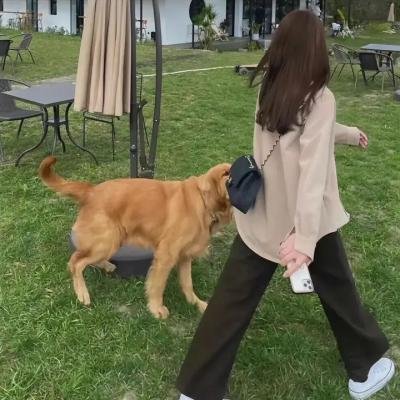 古城艳盗